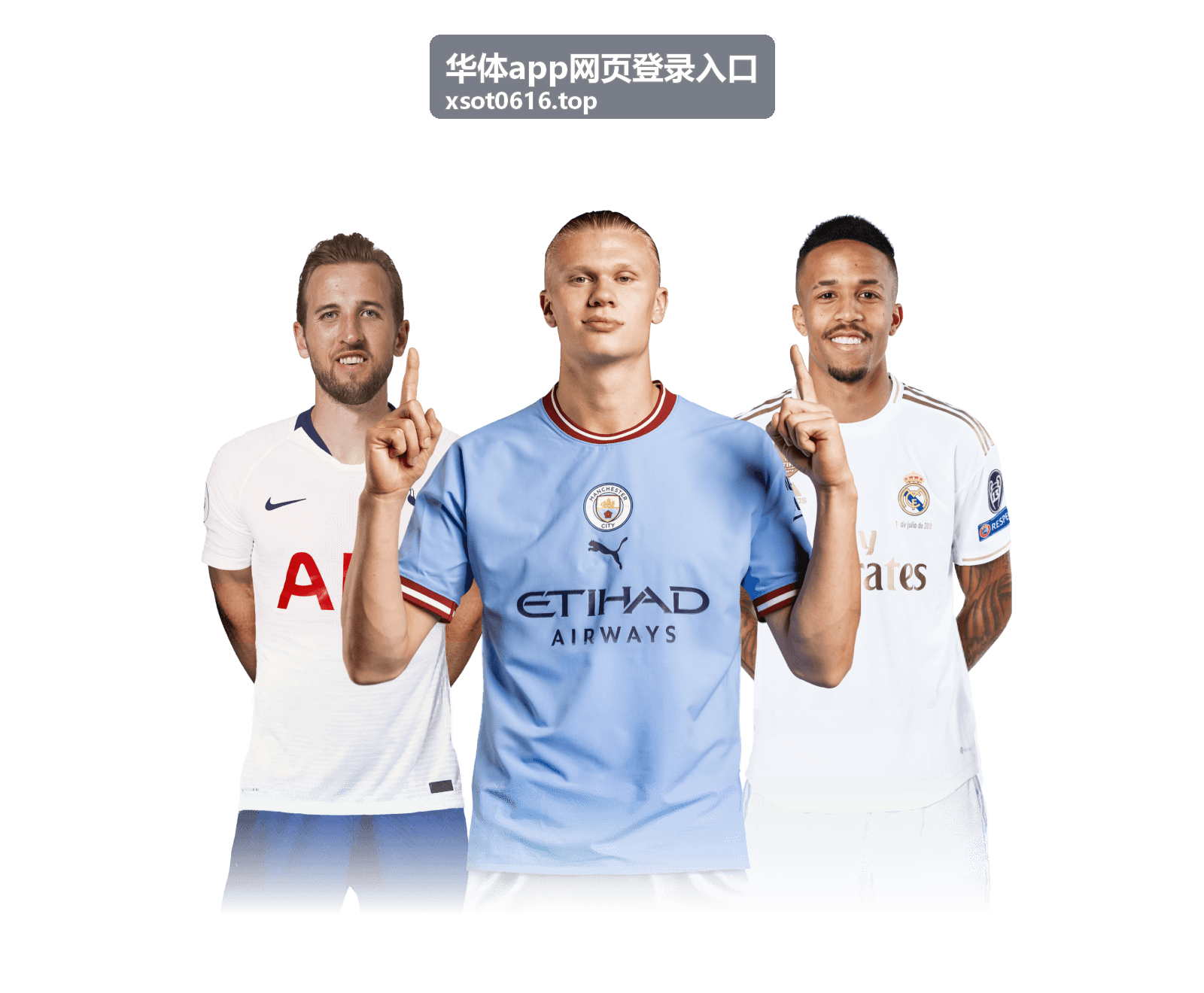 网页登录步骤中的验证环节说明配图